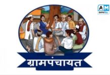 तुमच्या गावाच्या ग्रामपंचायतीमध्ये आर्थिक घोटाळा झाला आहे की नाही ? हे कसं तपासायचं ? वाचा…!