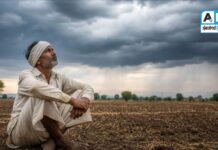 बीड जिल्ह्याला अजूनही दमदार पावसाची प्रतीक्षा : शेतीची कामं पूर्णपणे ठप्प, वाचा…!