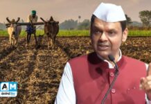 मुख्यमंत्री फडणवीसांची मोठी घोषणा : कृषी वीज बिलांची 48 हजार कोटींची थकबाकी होणार माफ