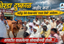 कोरडा दुष्काळ जाहीर करा : बर्दापूर येथे शेतकऱ्यांचं ‘रास्ता रोको’ आंदोलन, वरवटीत वाळलेल्या सोयाबीनची होळी…!