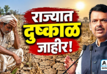 राज्यातील 265 तालुक्यात अखेर दुष्काळ जाहीर : मुख्यमंत्री देवेंद्र फडणवीस यांची मोठी घोषणा…!