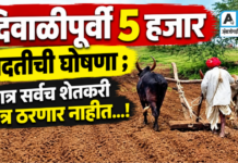दिवाळीपूर्वी 5 हजार मदतीची घोषणा ; मात्र सर्वच शेतकरी पात्र ठरणार नाहीत…!